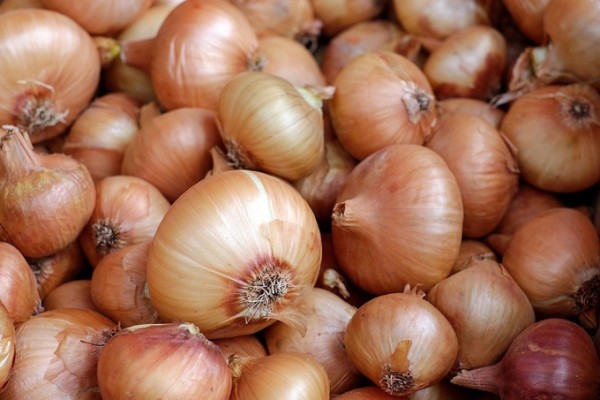 ‘Onion Diet, Pickles’ Even when cold